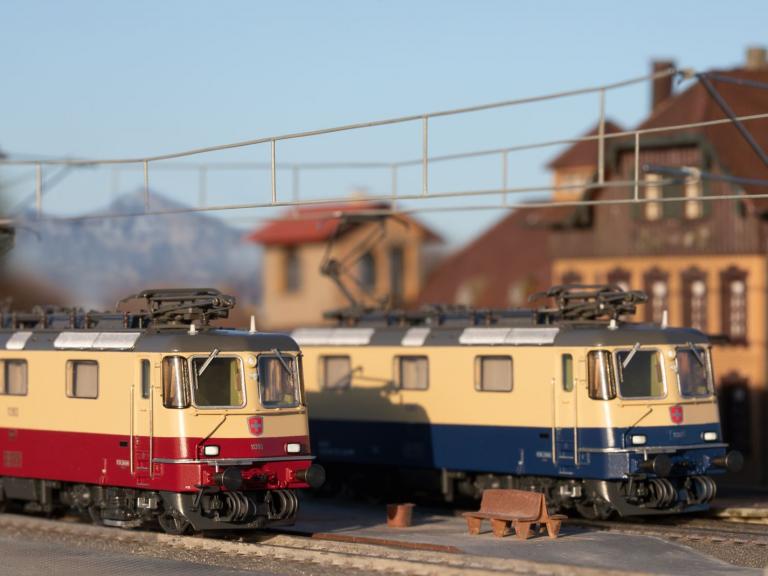 Loks aktuell im Geschäft